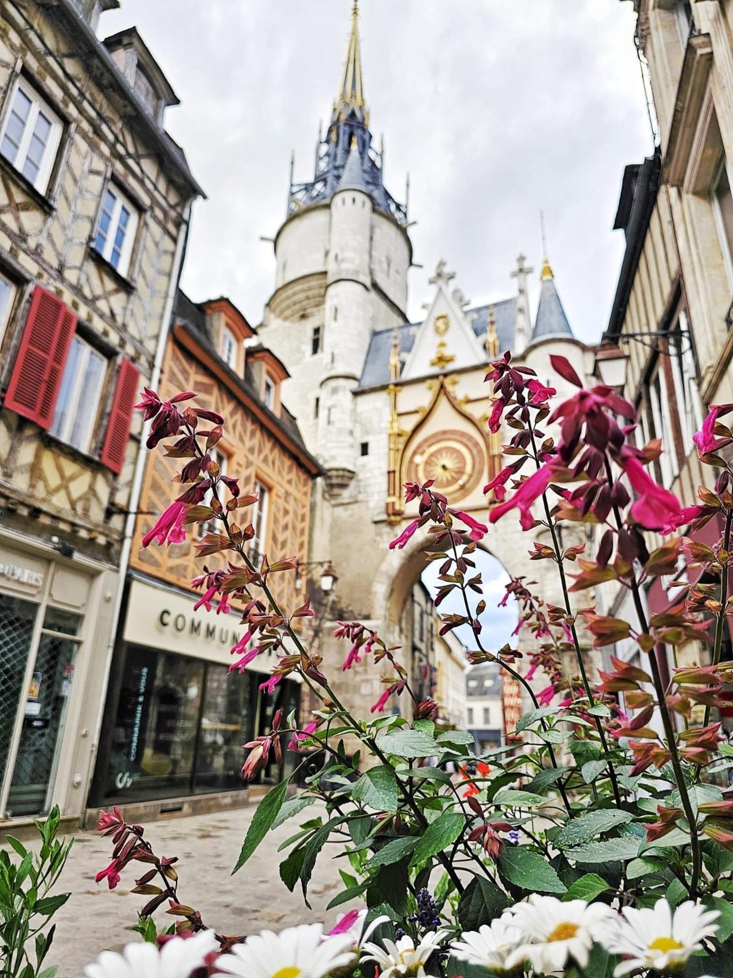 Appartamento Aux'Cerfs - A Deux Pas De L'Abbaye Auxerre Esterno foto